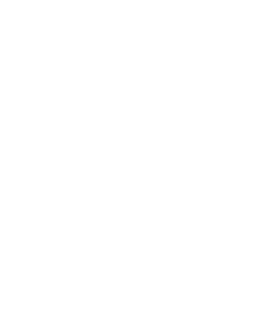 Raiders Legends Favicon in Weiss
